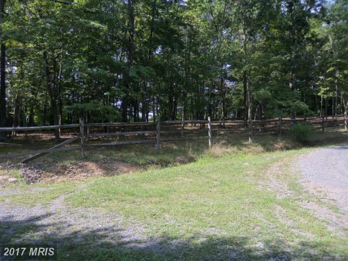 Constant Run Rd. - Photo 1