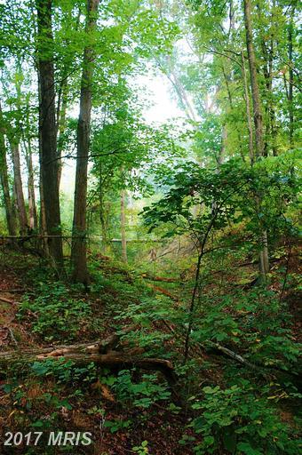 Dehaven Road - Photo 1