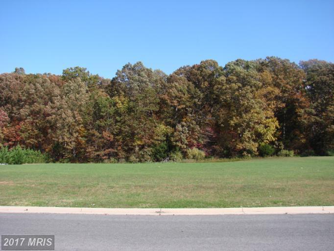 Luray Landing Dr. - Photo 1