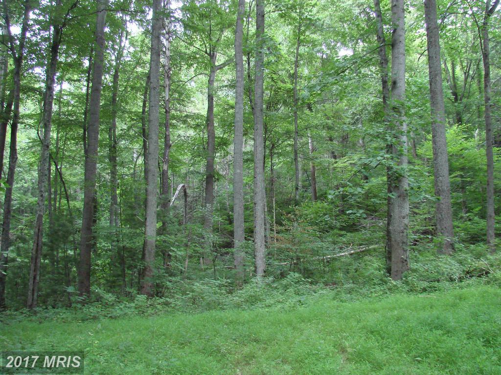 Off Printz Mill Rd. - Photo 1