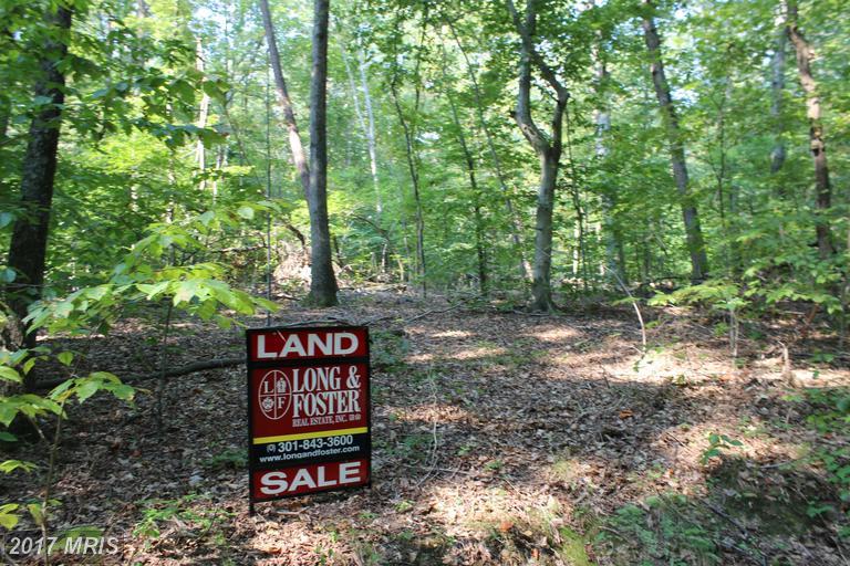 16701 Boot Hill Road - Photo 1
