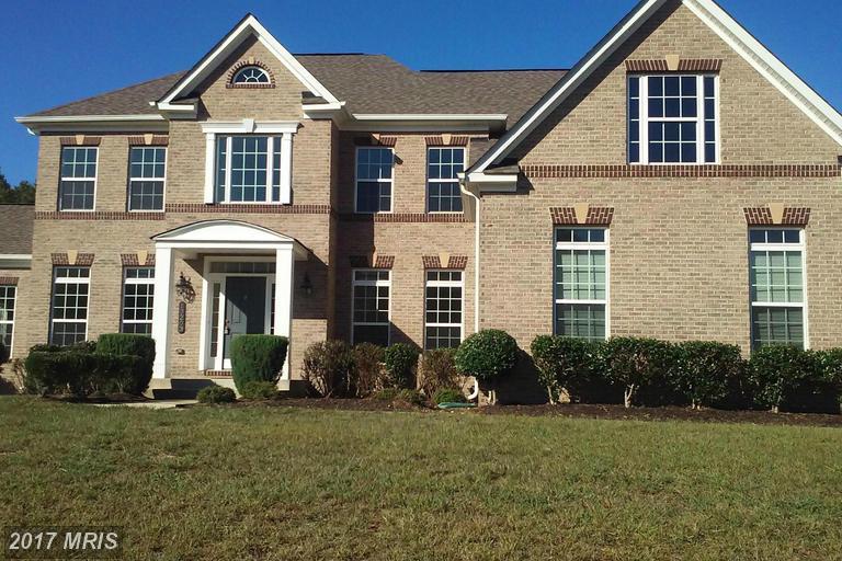 13203 Arya Drive - Photo 1