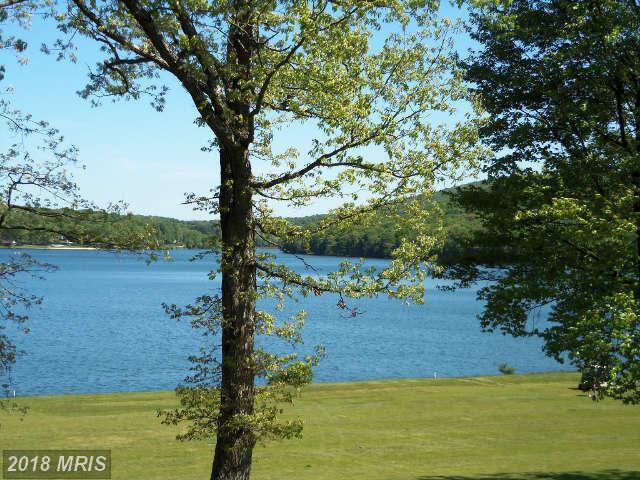 56-LOT Goldenrod Drive - Photo 1