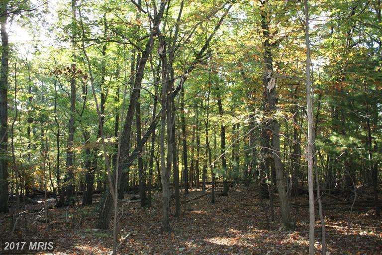 Pontzer Road - Photo 1