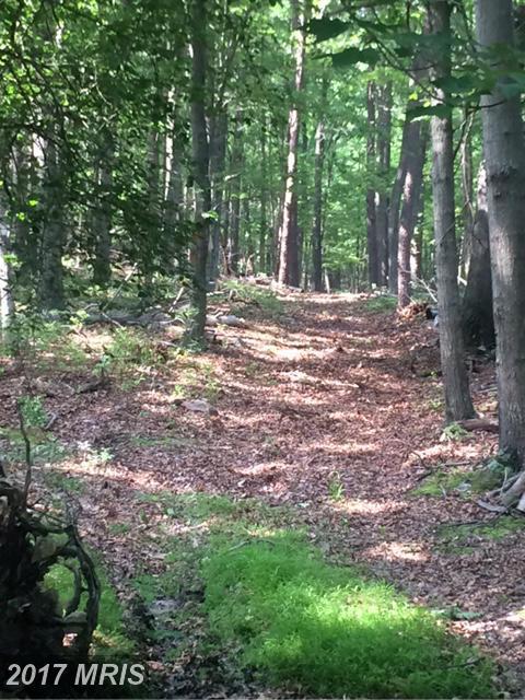 Not On File, Unknown Va - Photo 1
