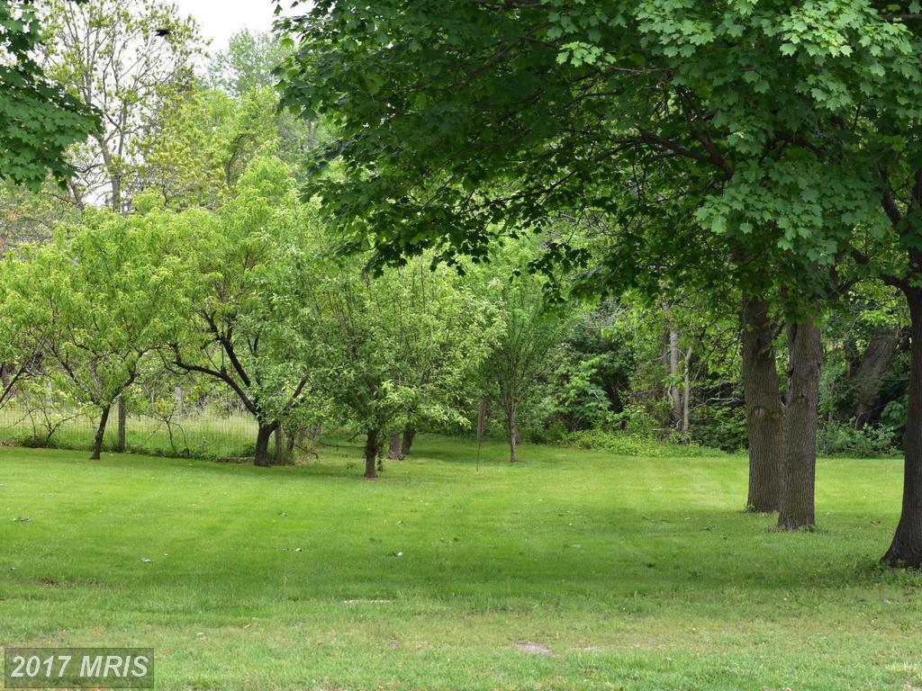 Stover Avenue - Photo 1