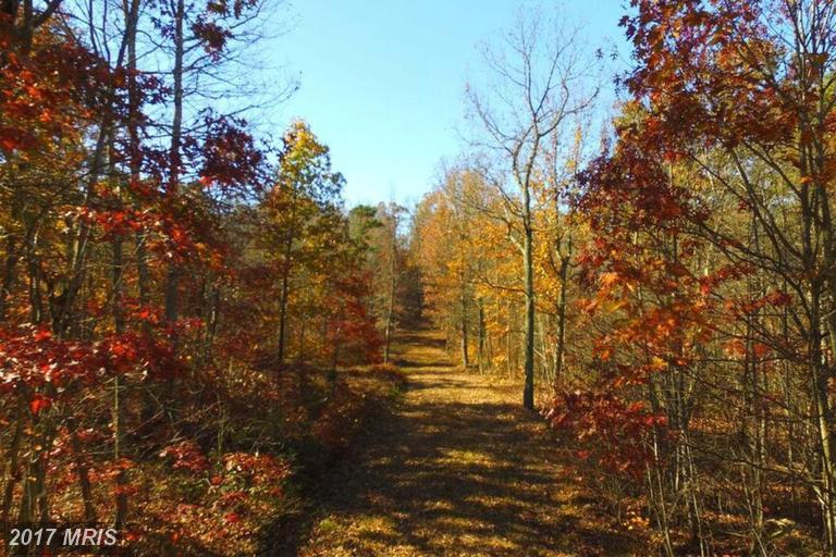 Moreland Gap Road - Photo 1
