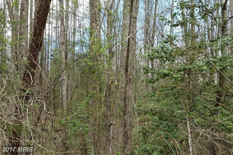 3601 Hidden Acres Way - Photo 1