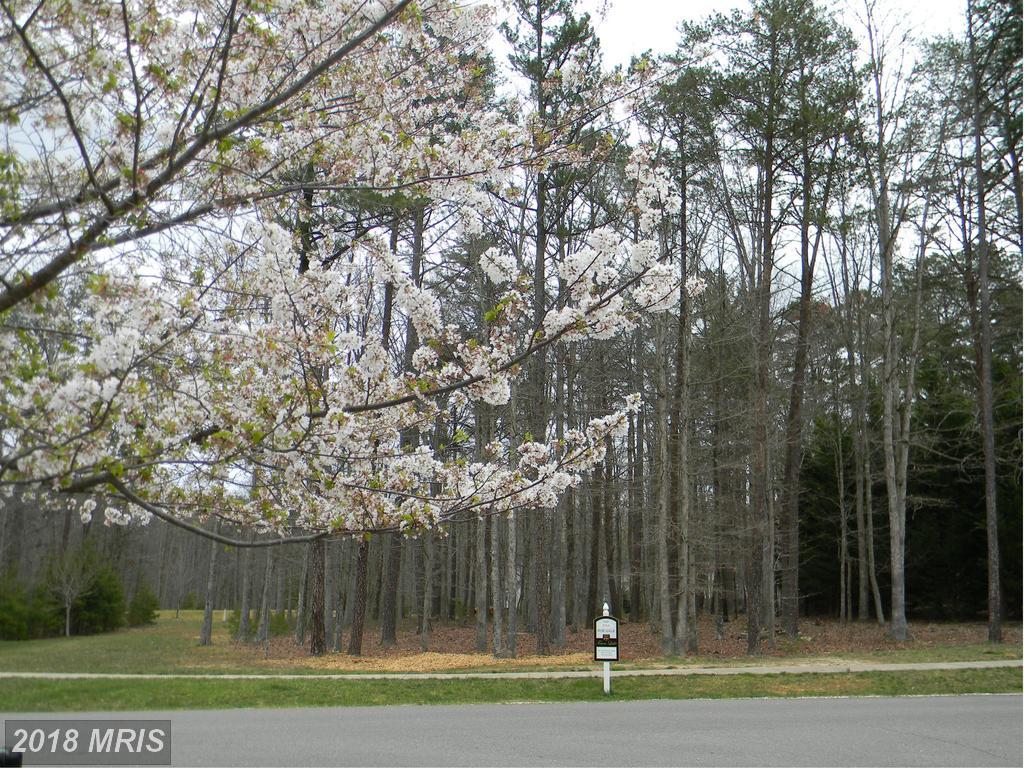 10809 Chatham Ridge Way - Photo 1