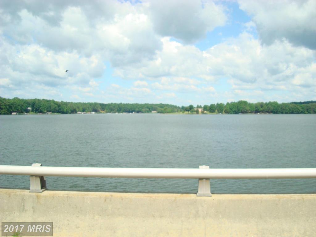 6400 Stubbs Bridge Road - Photo 1