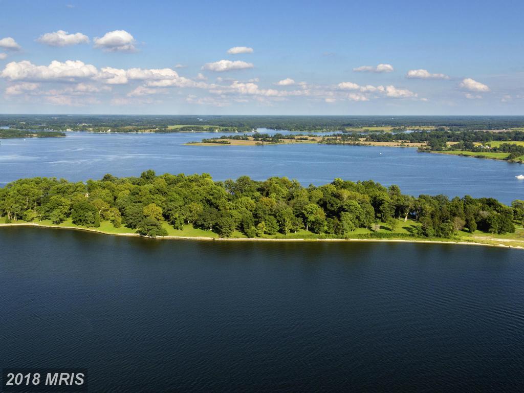 25511 Bruffs Island Road - Photo 1