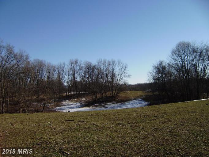 Old National Pike - Photo 1