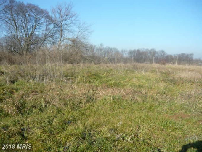 9646 Blooming Meadow Court - Photo 1