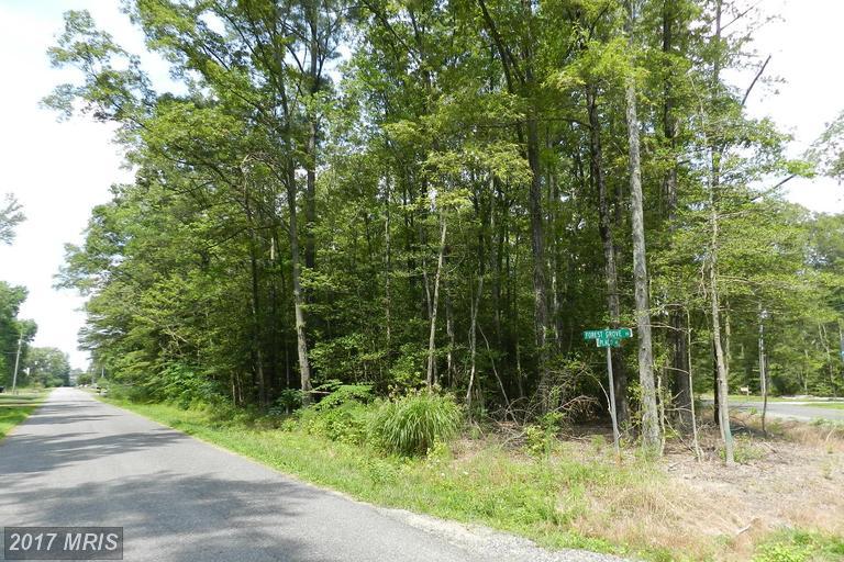 Placid Point - Photo 1