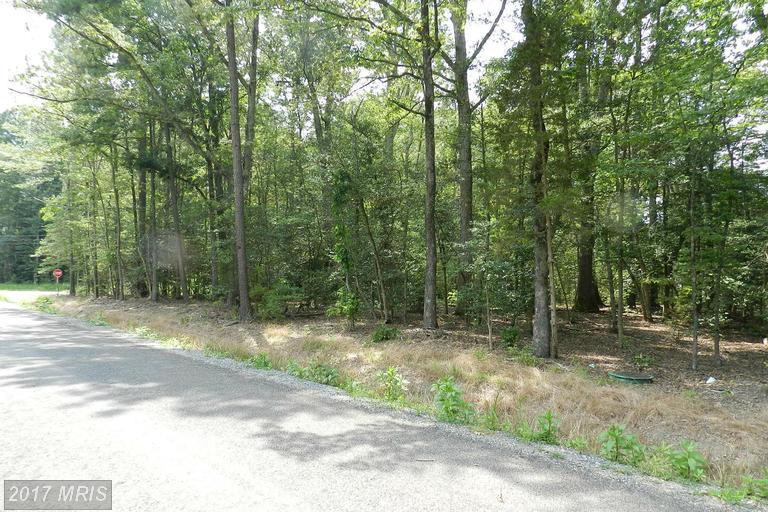 Placid Point Rd. - Photo 1
