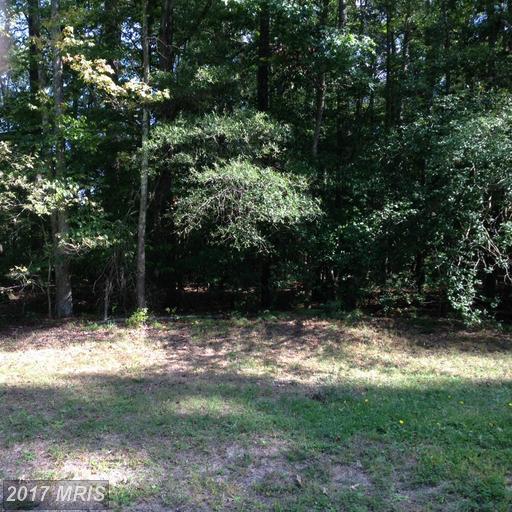 0 Placid Point Drive - Photo 1