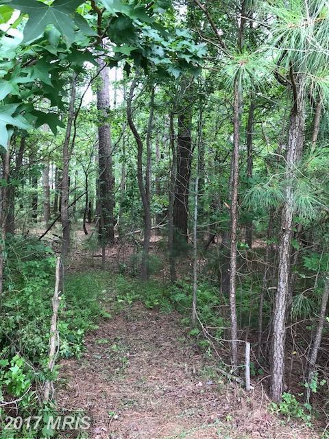 116 Pine Forest Drive - Photo 1