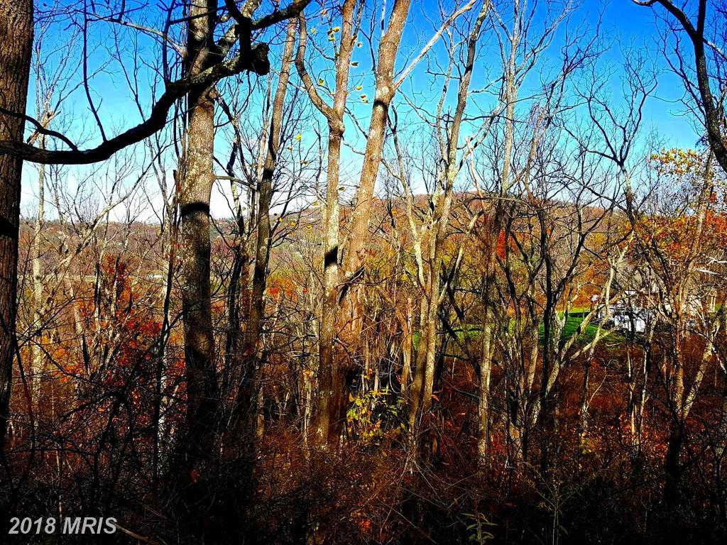 Winona Drive - Photo 1