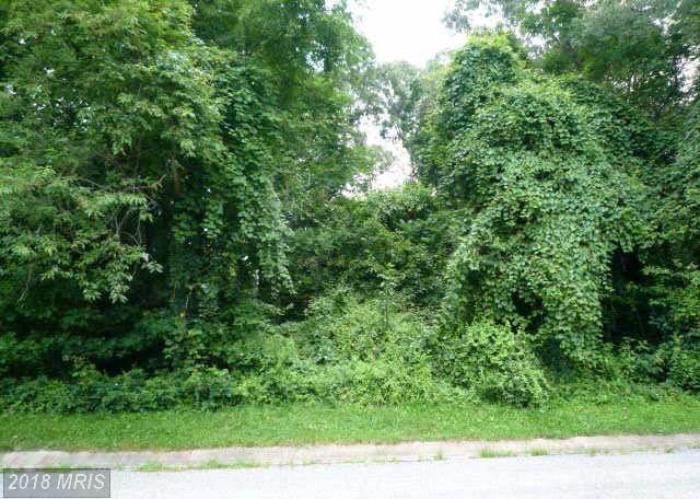 157 Joanne Road - Photo 1