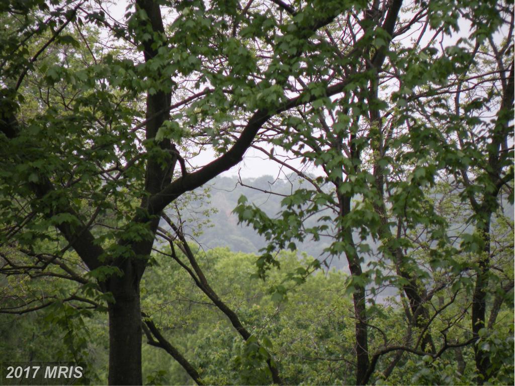 1101 Finley Lane - Photo 1