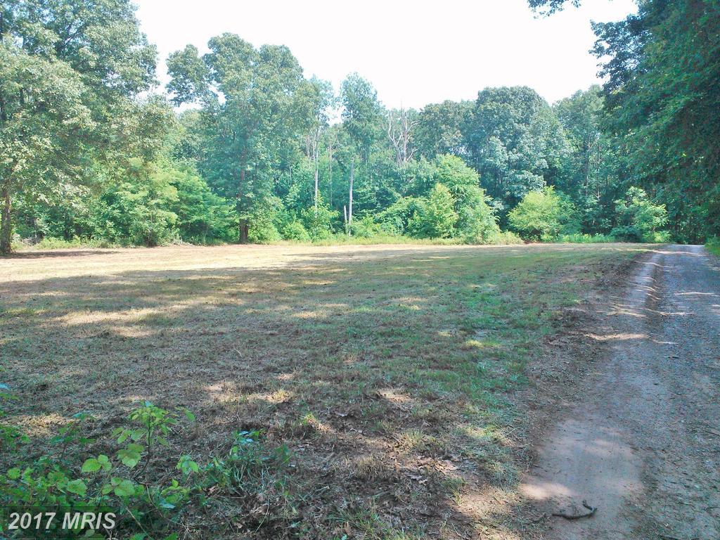 931 Miller Road - Photo 1