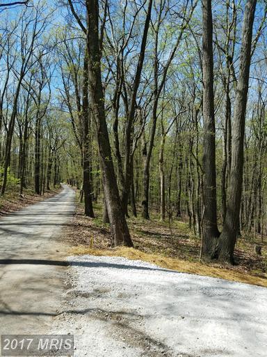 Duncan Hill Road - Photo 1