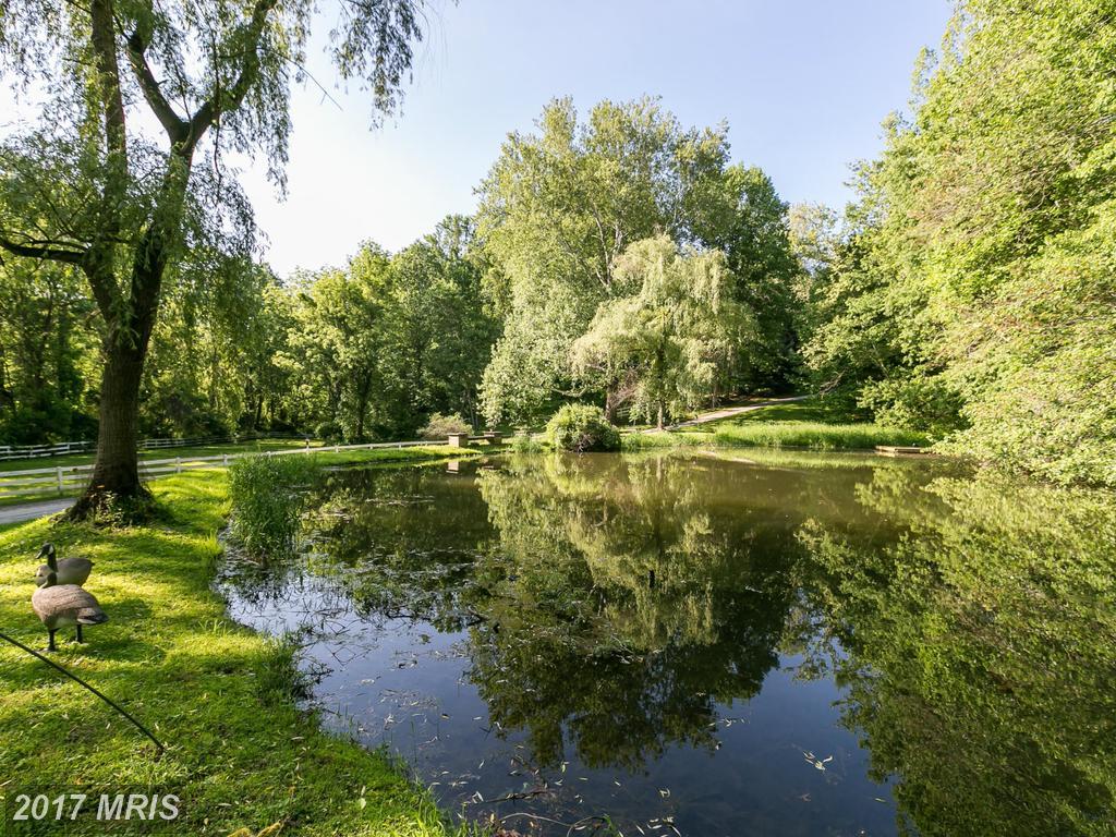15729 Home Road - Photo 1