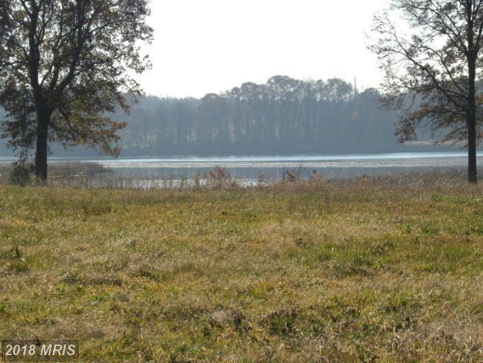 Pond Creek Lane - Photo 1