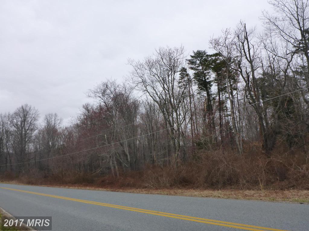 LOT 2 Ebenezer Church Road - Photo 1