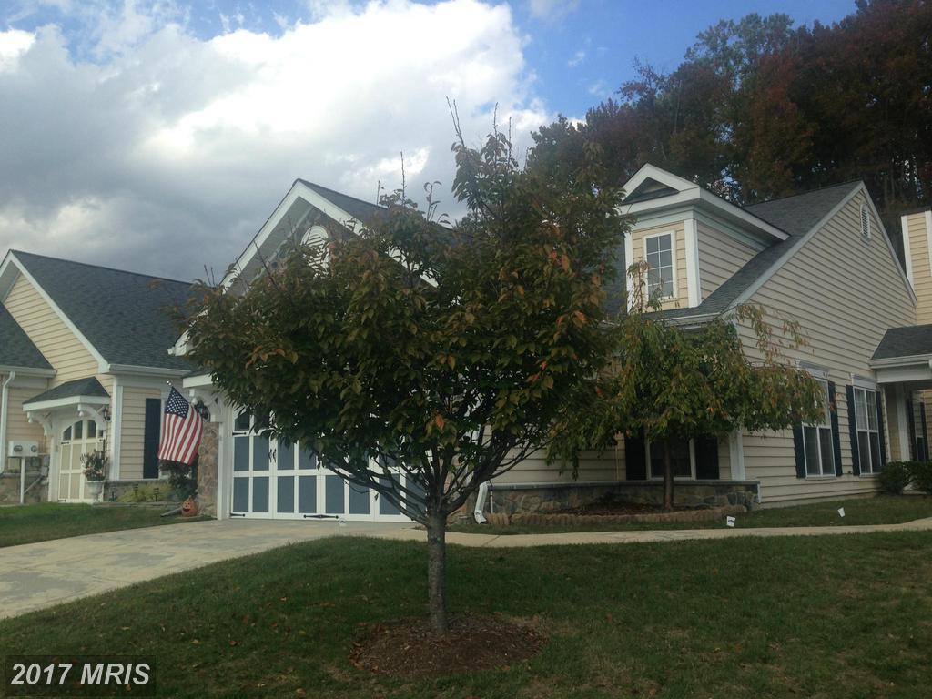 239 Williamsburg Circle - Photo 1