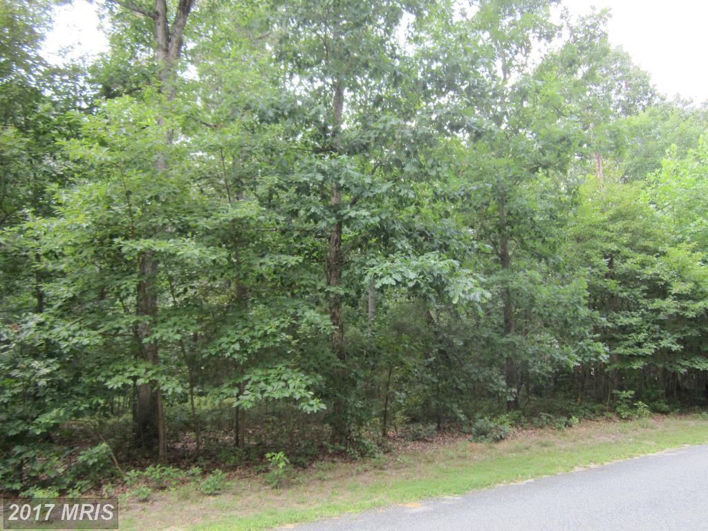 Tubmill Branch Road - Photo 1