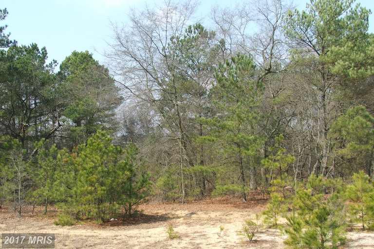 4817 Harrison Ferry Road - Photo 1