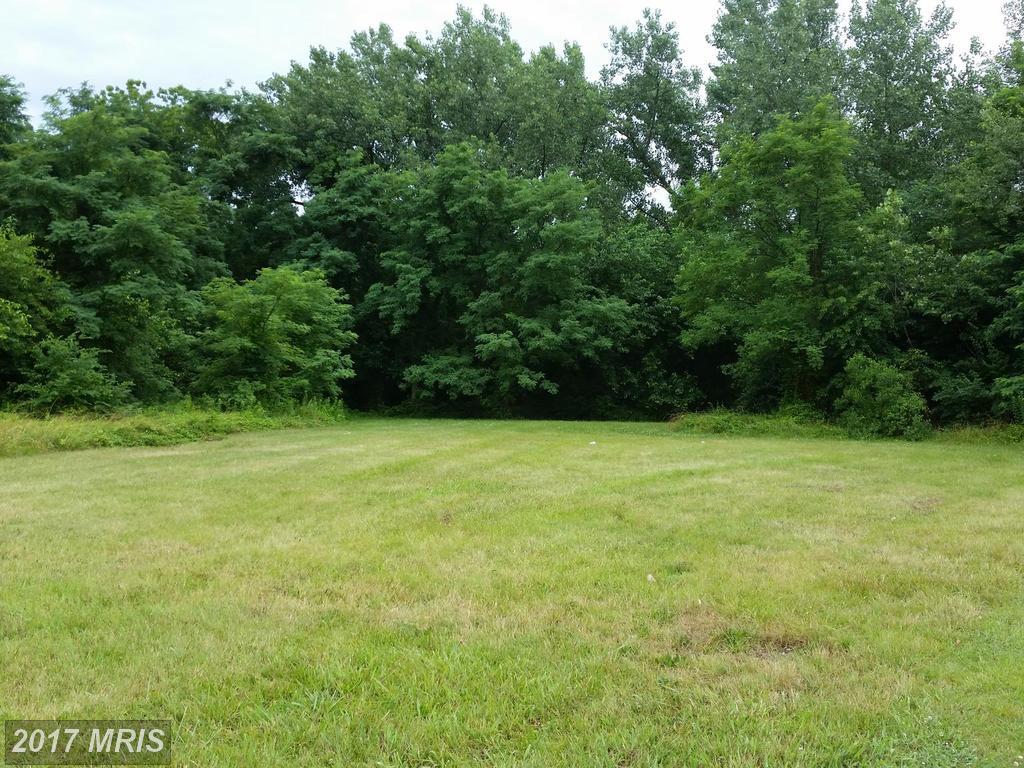 0 Cedar Street - Photo 1
