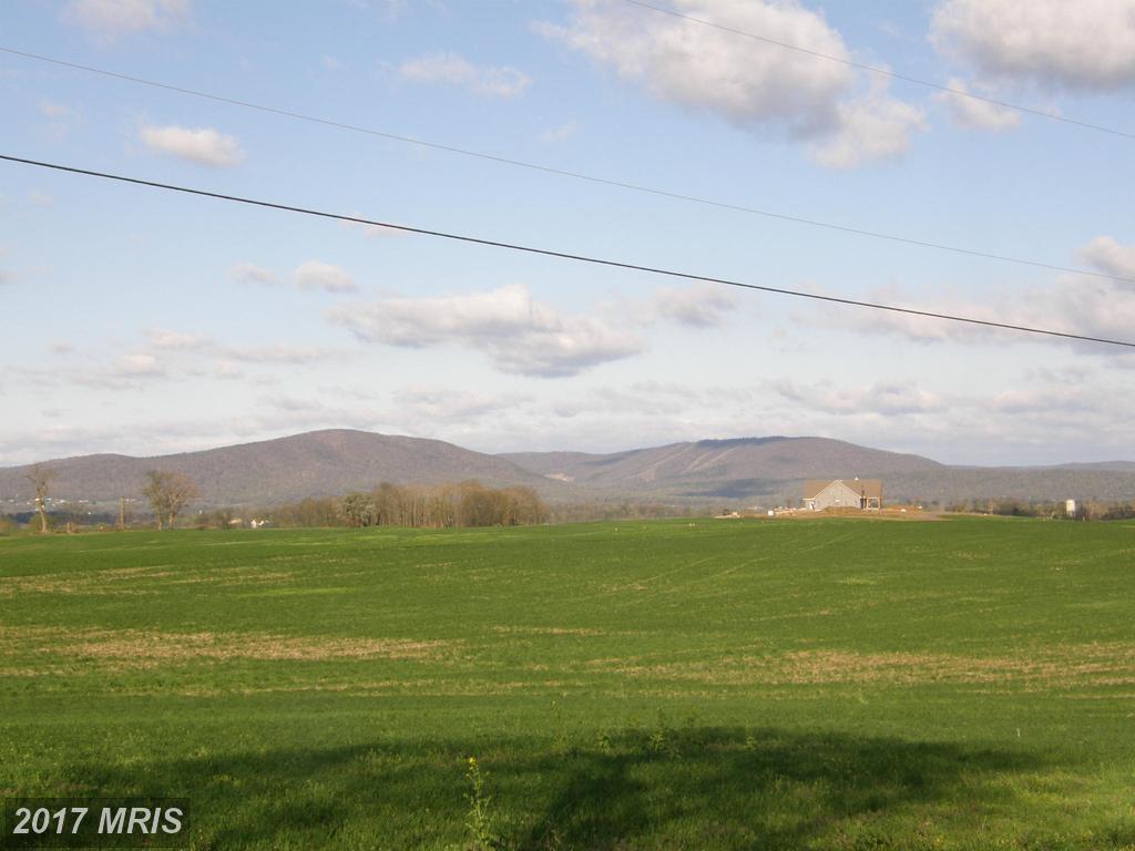 Cool Hollow Road - Photo 1