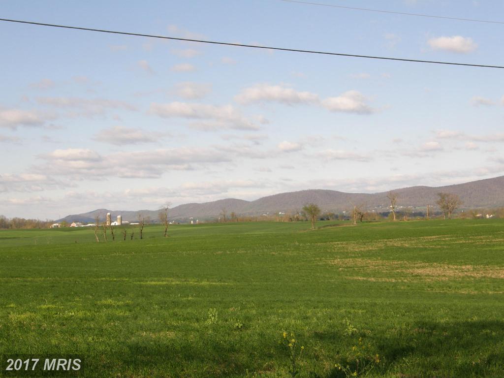 Cool Hollow Road - Photo 1