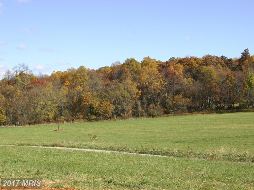 16381 Raven Rock Rd. Road - Photo 1