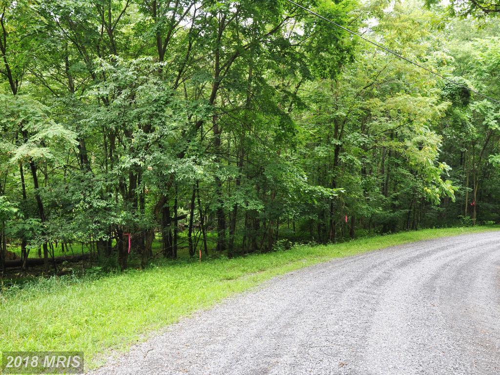 L-55 Logger Drive - Photo 1