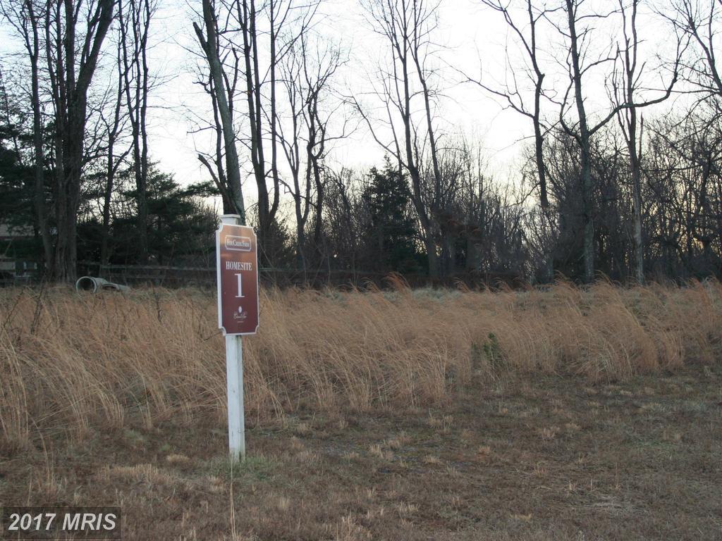 11327 Fox Creek Farm Way - Photo 1