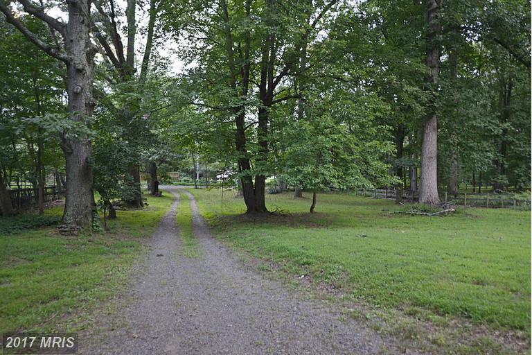 215 Deepwoods Drive - Photo 1