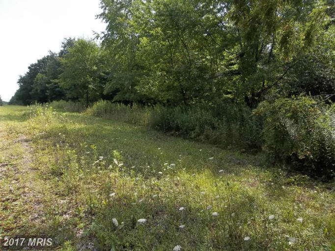 Westview Crossing Road - Photo 1