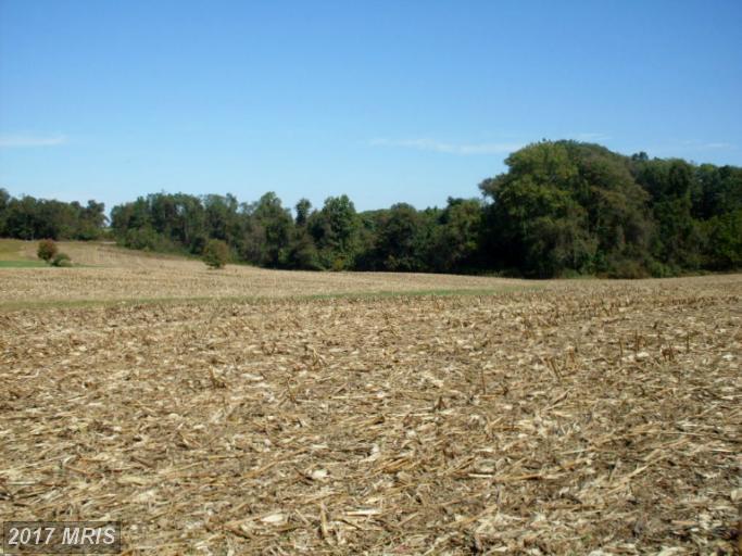 2589 Medical Hall Road - Photo 1