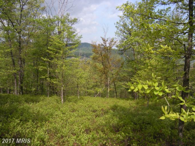 FARM #19 Bear Garden Trail - Photo 1