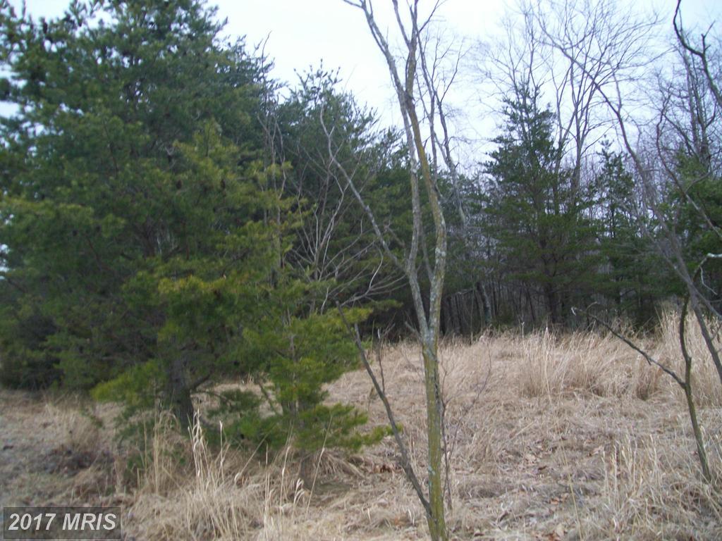 Proctor Road - Photo 1