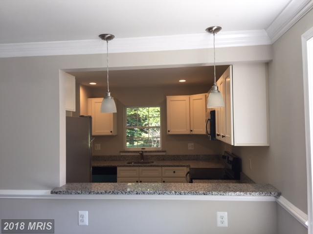 6247 Dawn Day Drive - Photo 1