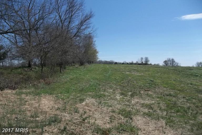 15301 Leondina Drive - Photo 1