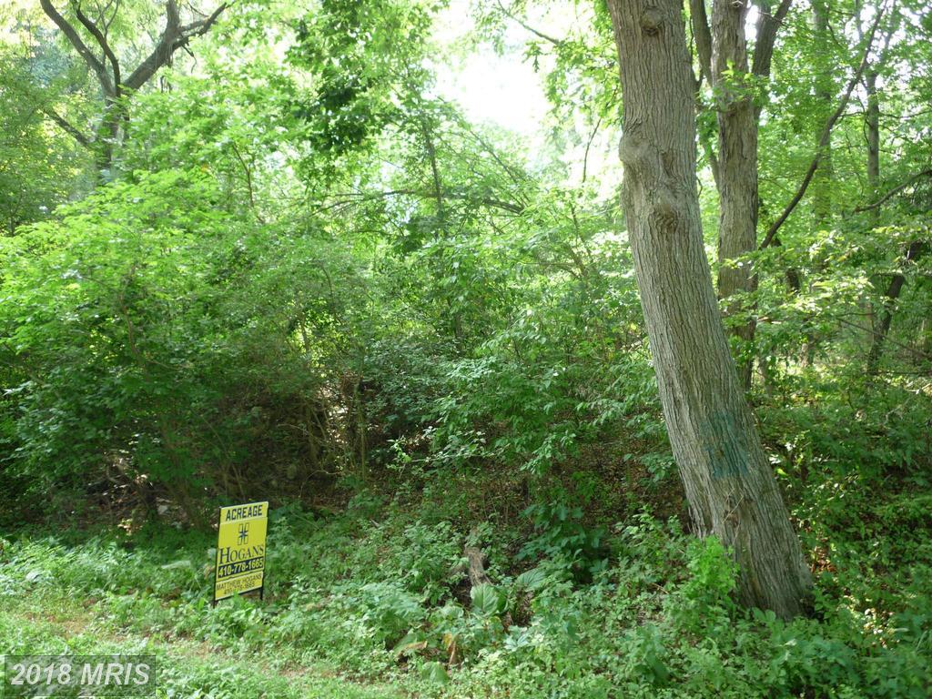 329 Flatland Road - Photo 1