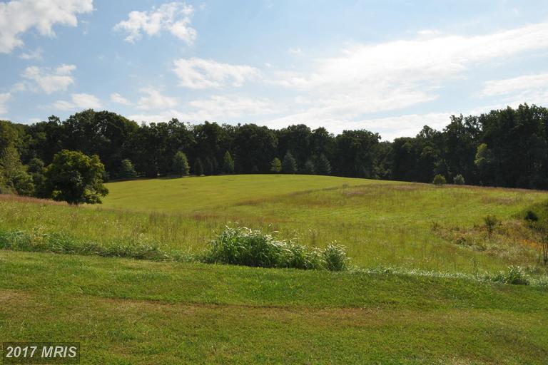 40221 Beacon Hill Drive - Photo 1