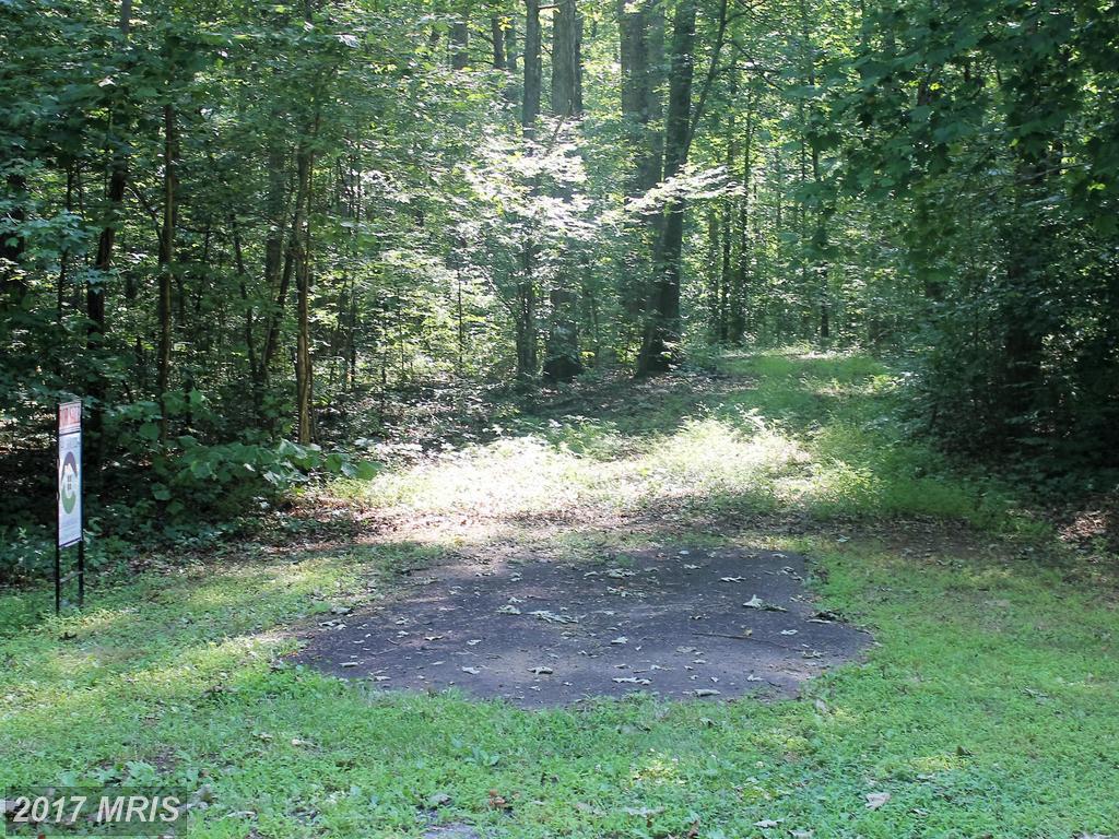 Morel Way - Photo 1