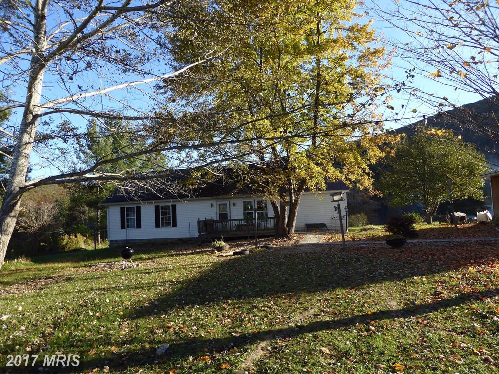561 Blackberry Lane - Photo 1