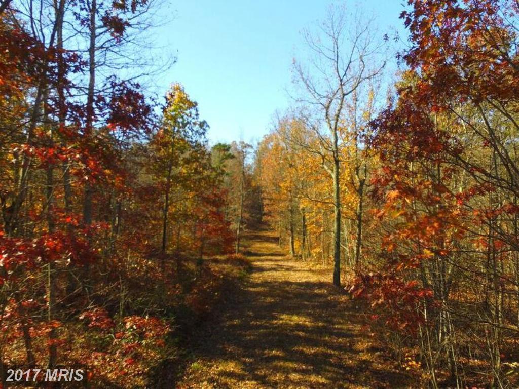 Woods Chapel Road - Photo 1